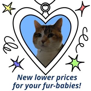 Check Out New Lower Prices On Cat And Dog Toys